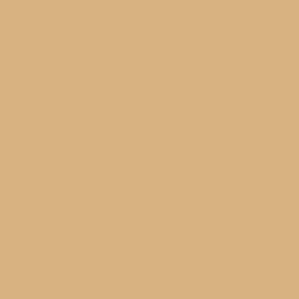 2165-40 Dark Beige - Paint Color | The Painter's Place